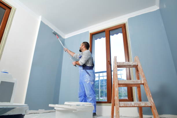 Best Drywall Sanding and Smoothing  in Hurley, WI